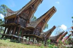 gallery/buntu_kalando/museum-buntu-kalando-toraja-24.jpg