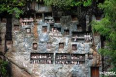 gallery/lemo/lemo-tomb-stone-toraja-02.jpg