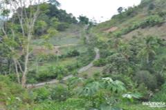 gallery/marengo/marengo_tana_toraja30.jpg