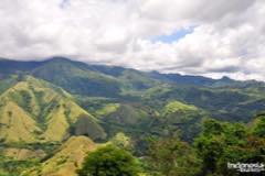 gallery/marengo/marengo_tana_toraja4.jpg