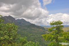 gallery/marengo/marengo_tana_toraja7.jpg