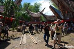 gallery/rambu_solo/upacara-kematian-toraja-08.jpg