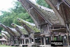 gallery/sangalla/sangalla-toraja-indonesia-13.jpg