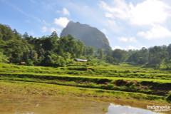 gallery/silanan/sillanan-village-tana-toraja-01.jpg