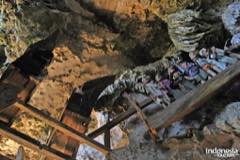 gallery/tampang_allo/tampang-allo-cave-toraja-13.jpg