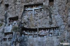 gallery/tampang_allo/tampang-allo-cave-toraja-16.jpg