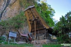 gallery/tampang_allo/tampang-allo-cave-toraja-17.jpg